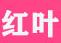 红叶传情网